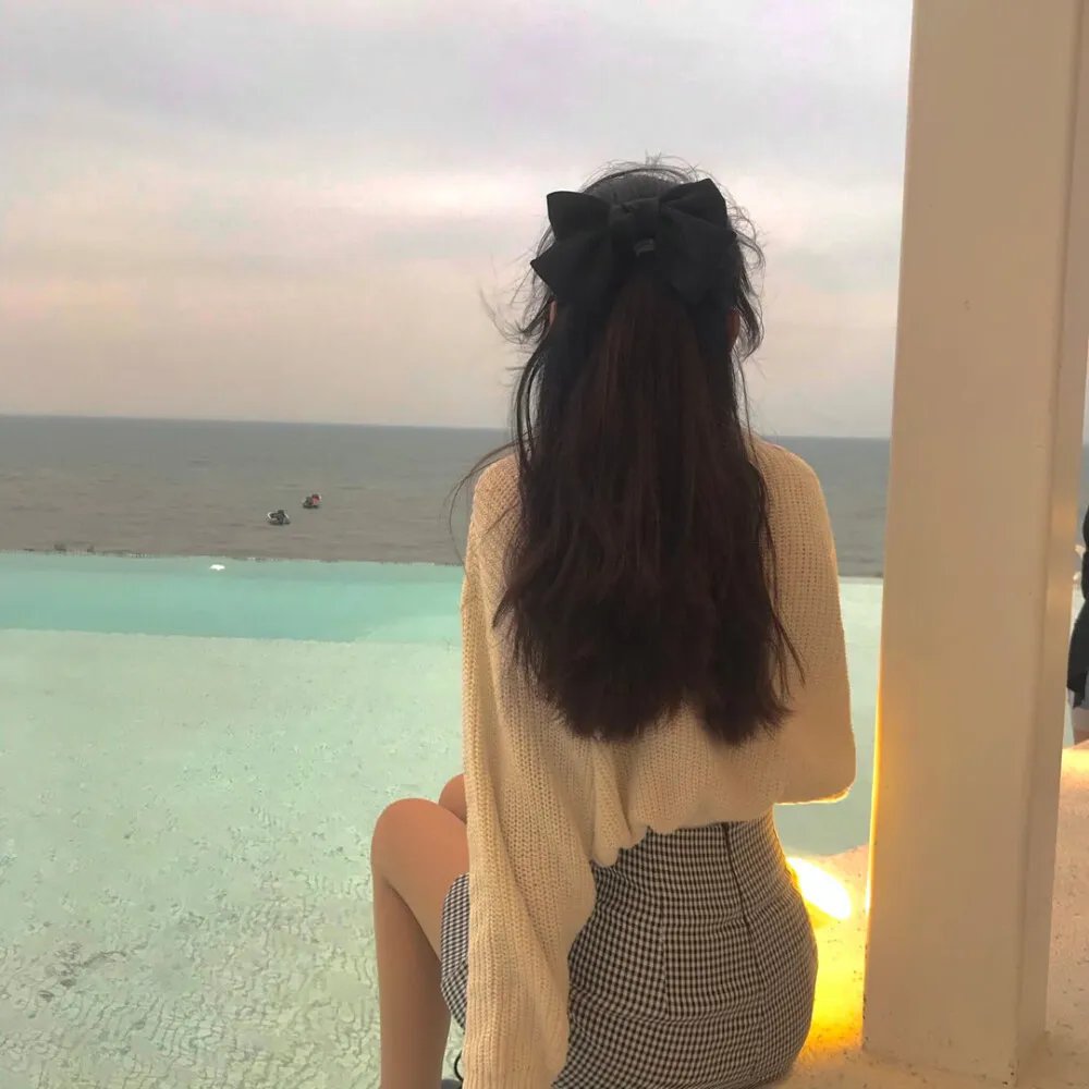 多瑙河行动